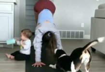 Beba, pas i mama i odlične jutarnje vežbe joge