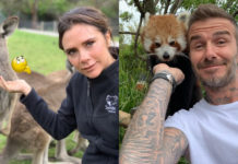 Svoje putovanje po Australiji, Beckhamovi su pretvorili u pravu avanturu Bekamovi u australiji