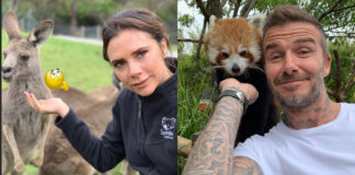 Svoje putovanje po Australiji, Beckhamovi su pretvorili u pravu avanturu Bekamovi u australiji