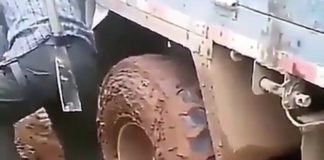 (Video) Lako je njemu kada ima pomagača