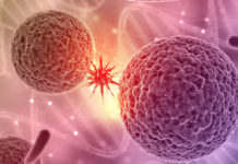 Nova istraživanja pokazuju da rak češće pogađa visoke ljude Rak kod visokih ljudi