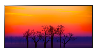 LG OLED televizori – vrhunski kvalitet za vrhunsko uživanje lg tv oled