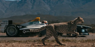 Formula E vs Gepard: Ko je pobedio u ovoj neverovatnoj trci nauke i prirode formula protiv geparda trka