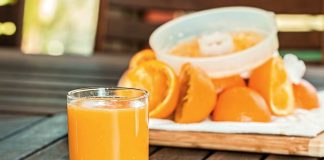 Moćna citrusna voćka: Štiti od malignih oboljenja i pomaže u mršavljenju Kumkvat voćka