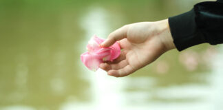 Običaji nakon sahrane – Kako izgleda period žaljenja? Običaji nakon sahrane